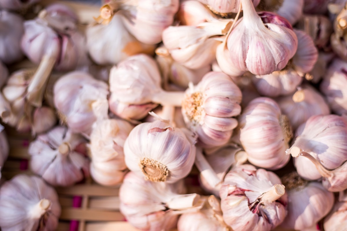 Fermented foods and probiotics